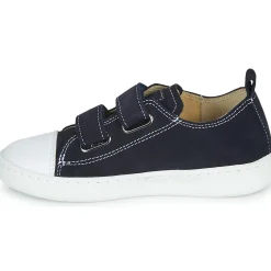 Citrouille et Compagnie - NADIR