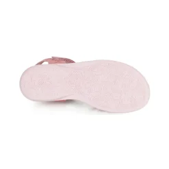 Citrouille et Compagnie - HERTUNE