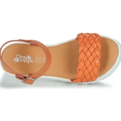 Clearance Citrouille et Compagnie - NASAKO Orange