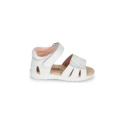 Citrouille et Compagnie - OLESS