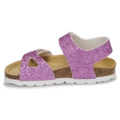 Citrouille et Compagnie - BELLI JOE Rose Best