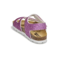 Citrouille et Compagnie - BELLI JOE Rose Best