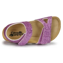 Citrouille et Compagnie - BELLI JOE Rose Best