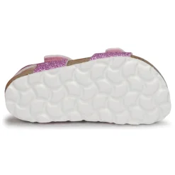 Citrouille et Compagnie - BELLI JOE Rose Best