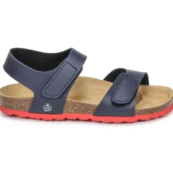 Citrouille et Compagnie - BELLI JOE Hot