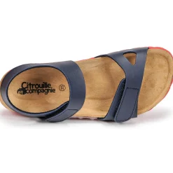 Citrouille et Compagnie - BELLI JOE Hot