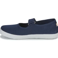 Citrouille et Compagnie - IVALYA Marine Sale