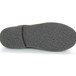 Citrouille et Compagnie - HOUVETTE