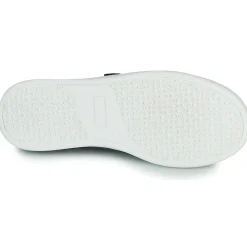 Citrouille et Compagnie - NADIR