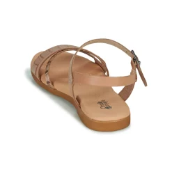 Discount Citrouille et Compagnie - OBINOU Tandoré