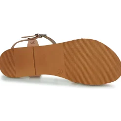 Discount Citrouille et Compagnie - OBINOU Tandoré