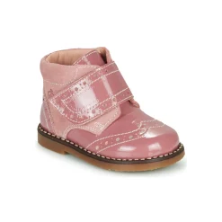 Citrouille et Compagnie - PROYAL Rosevernis Hot