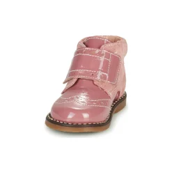 Citrouille et Compagnie - PROYAL Rosevernis Hot