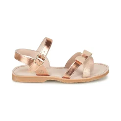 Citrouille et Compagnie - JISCOTTE Bronze Discount