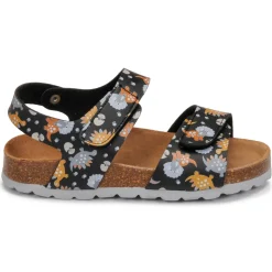 Citrouille et Compagnie - SUPERDAY