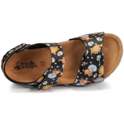 Citrouille et Compagnie - SUPERDAY