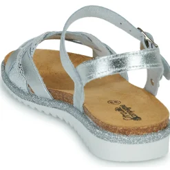 Hot Citrouille et Compagnie - ANEMONI Argent