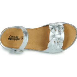 Hot Citrouille et Compagnie - ANEMONI Argent