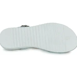 Hot Citrouille et Compagnie - ANEMONI Argent