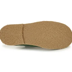 Discount Citrouille et Compagnie - HOVETTE Vert