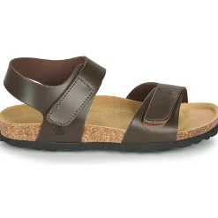 Citrouille et Compagnie - BELLI JOE Marron