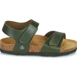 Citrouille et Compagnie - BELLI JOE