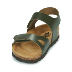 Citrouille et Compagnie - BELLI JOE