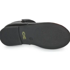 Hot Citrouille et Compagnie - LOCOLA Noir