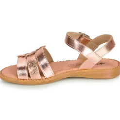 Online Citrouille et Compagnie - KATAGUE Bronze