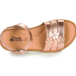 Online Citrouille et Compagnie - KATAGUE Bronze