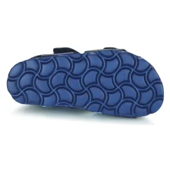 Citrouille et Compagnie - BELLI JOE Bleucamouflage Best