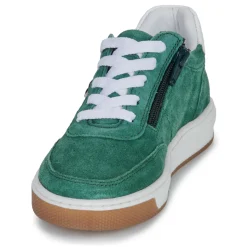 Best Citrouille et Compagnie - FITOU Green