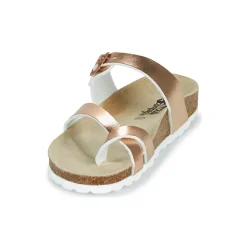 Online Citrouille et Compagnie - OMILA Rosedoré