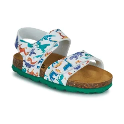 Citrouille et Compagnie - BELLI JOE Imprimérobotsdinosaures Online