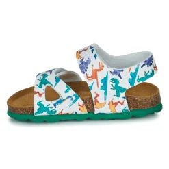 Citrouille et Compagnie - BELLI JOE Imprimérobotsdinosaures Online