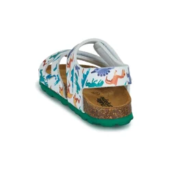 Citrouille et Compagnie - BELLI JOE Imprimérobotsdinosaures Online