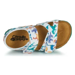 Citrouille et Compagnie - BELLI JOE Imprimérobotsdinosaures Online