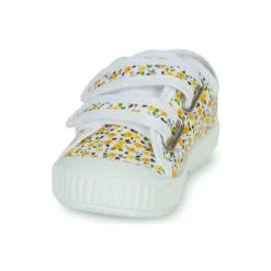 Citrouille et Compagnie - MINOT