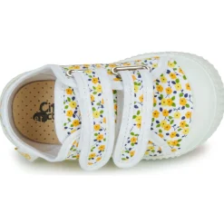 Citrouille et Compagnie - MINOT