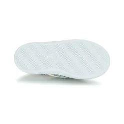 Citrouille et Compagnie - RIVIALELLE