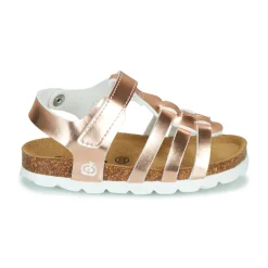 Citrouille et Compagnie - MALIA Rose Online