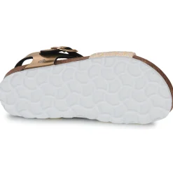 Citrouille et Compagnie - ARCENCIEL Doré Hot