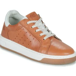 Best Citrouille et Compagnie - JISTOL Camel