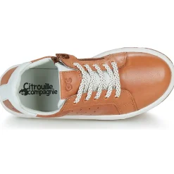 Best Citrouille et Compagnie - JISTOL Camel