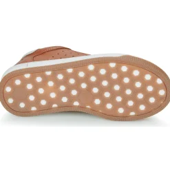 Best Citrouille et Compagnie - JISTOL Camel