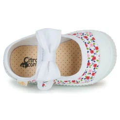 Citrouille et Compagnie - OZIMINI