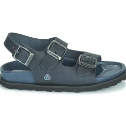 Citrouille et Compagnie - GLORIUS