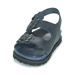 Citrouille et Compagnie - GLORIUS