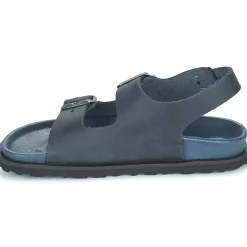 Citrouille et Compagnie - GLORIUS