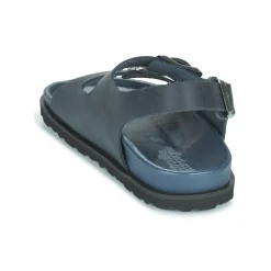 Citrouille et Compagnie - GLORIUS